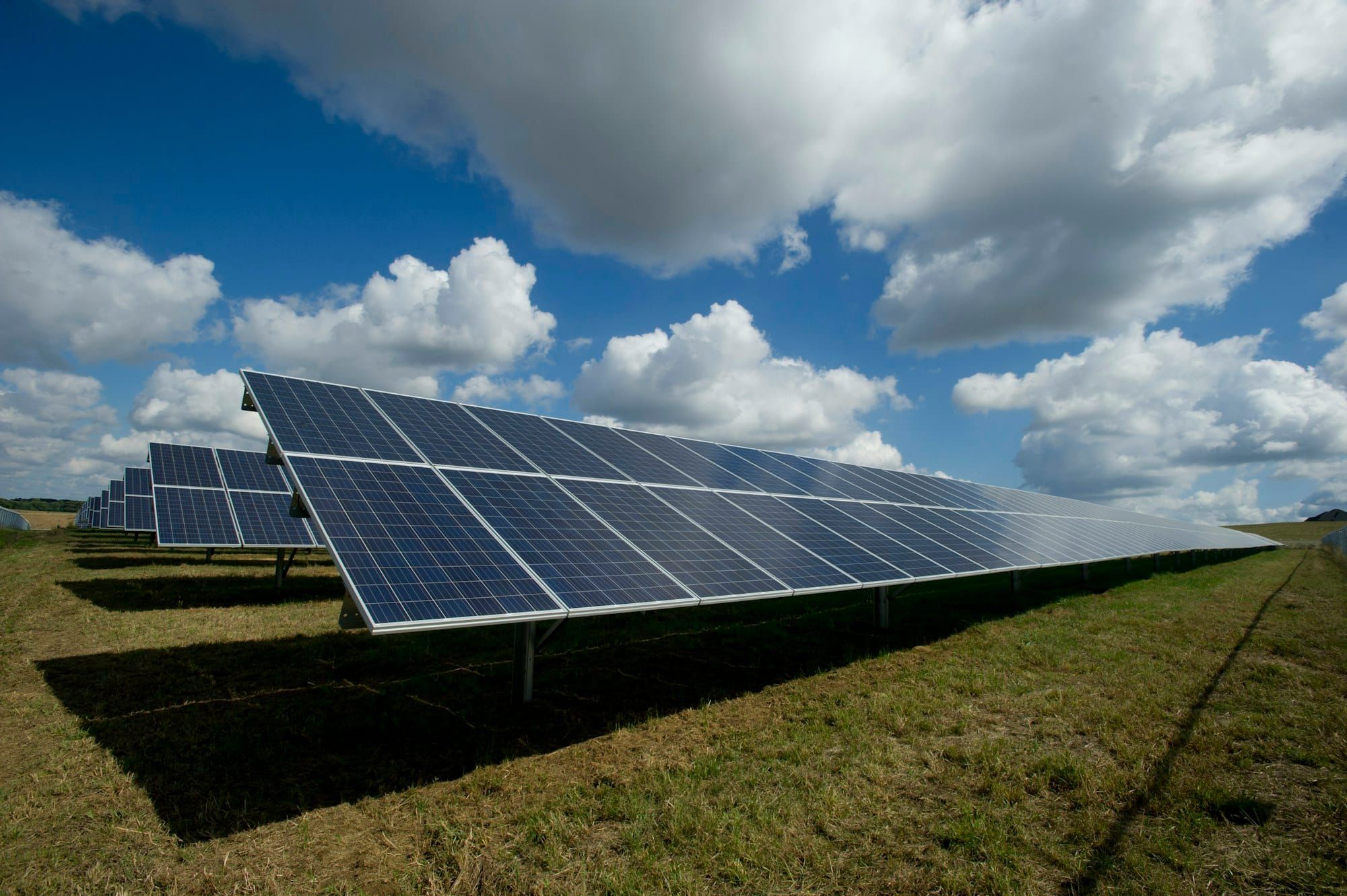 Usina de placas solares sob céu azul (foto ilustrativa)